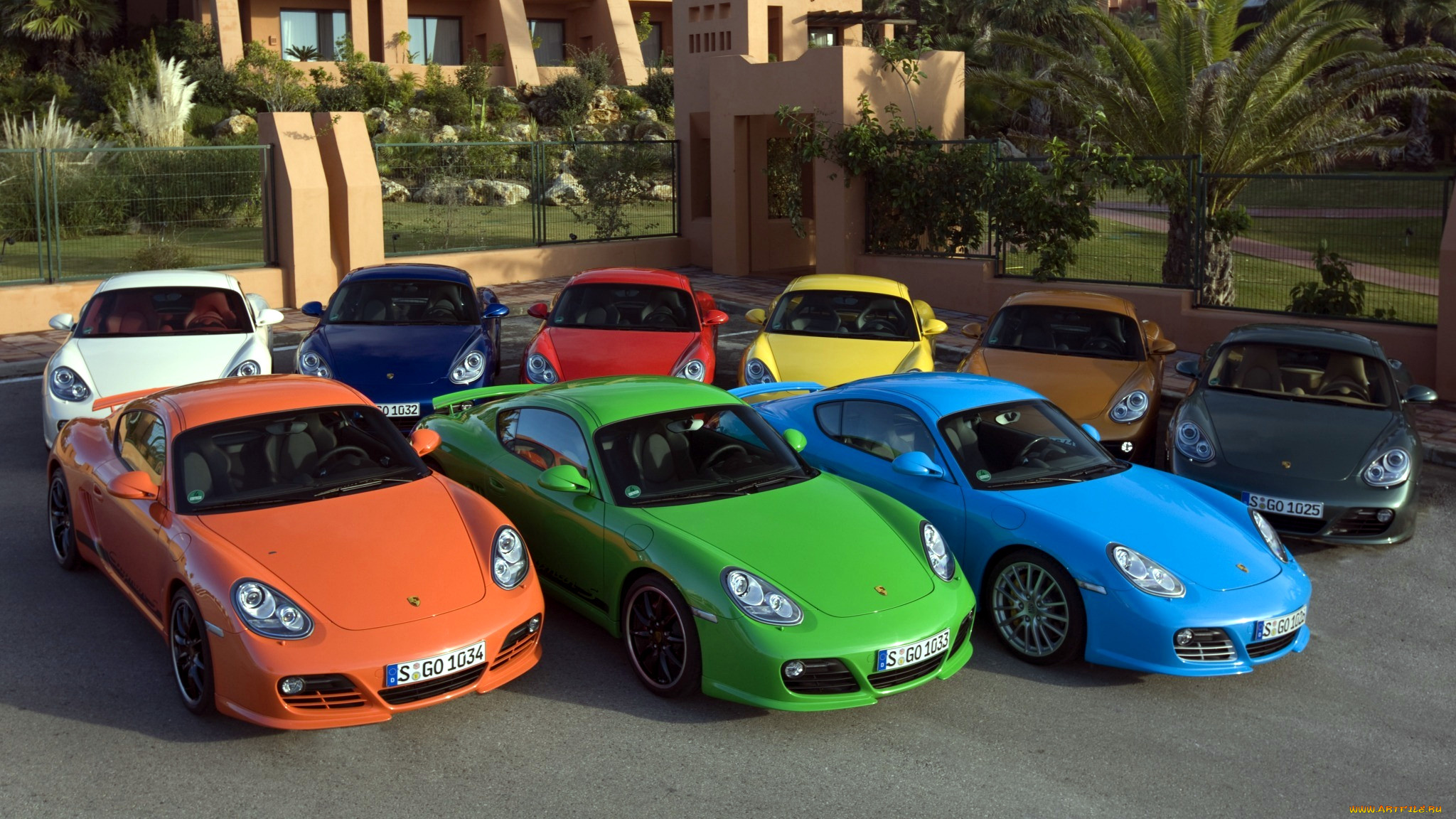 porsche, cayman, , dr, ing, h, c, f, ag, , , 